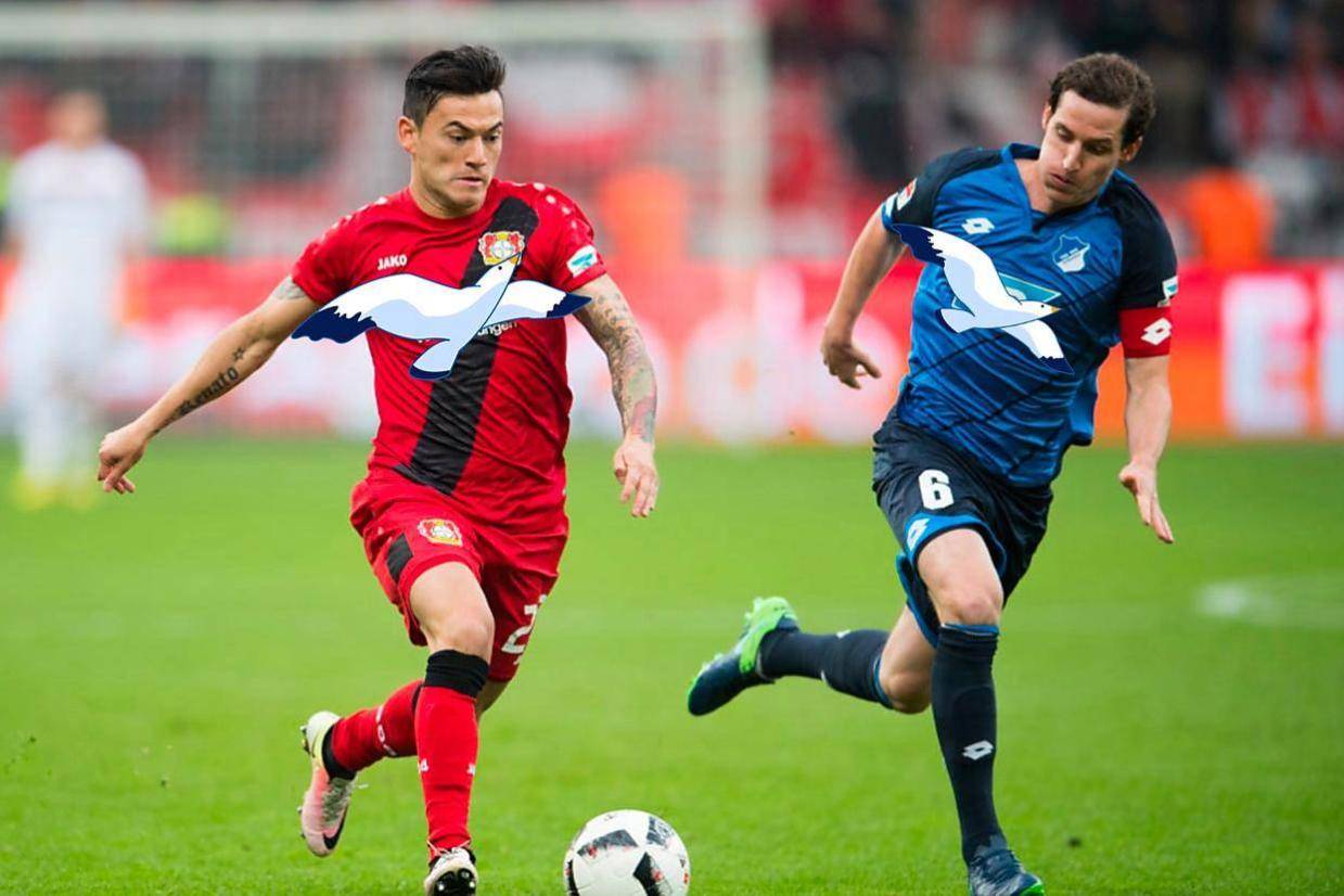 德甲第六轮前瞻:霍芬海姆vs科隆,双方差距并不大,首发出炉